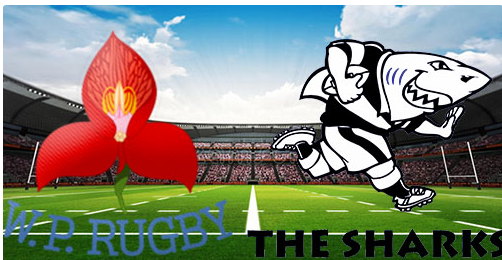 Western Province vs Sharks 24 August 2024 Rugby Full Match Replay Currie Cup